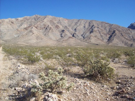 desert springs land 10 acres of real estate