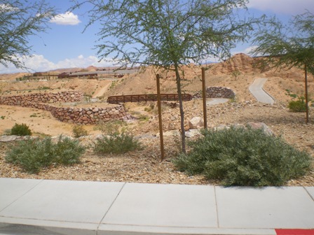 View from mesquite home looking north