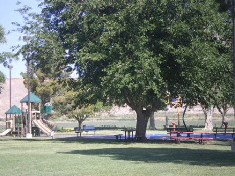 Park area 