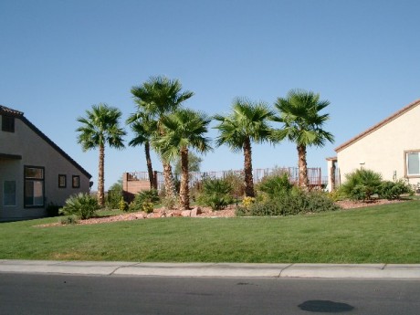 Foreclosures in Mesquite NV 